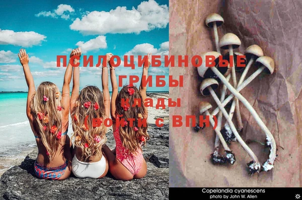 мескалин Приозерск