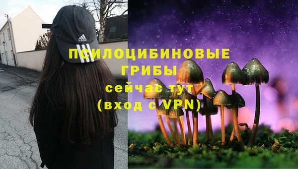 хмурый Воткинск