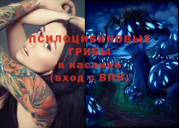 spice Вуктыл