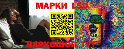 стафф Бийск