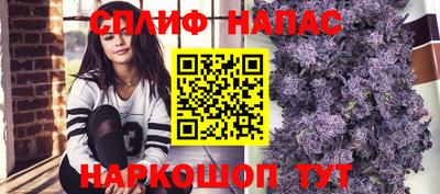 прущие грибы Жуковский