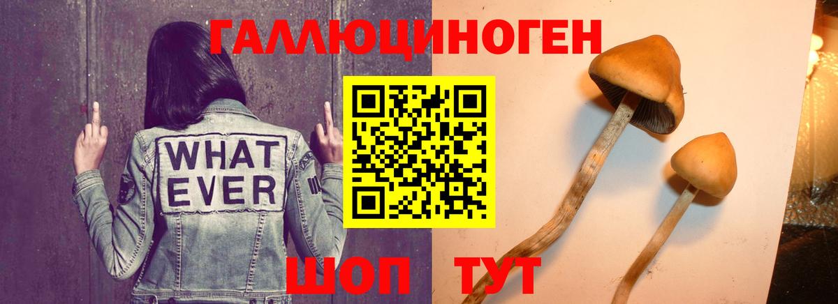 наркошоп  Псилоцибиновые грибы Psilocybine cubensis  Вход с VPN  Великие Луки  Псилоцибиновые грибы мухоморы 